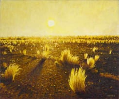 Walter Meyer; Kalahari Dawn