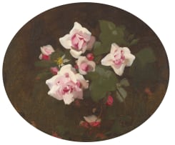 James Stuart Park; Pink Roses