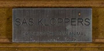 Sas Kloppers; Catching the Rain Animal