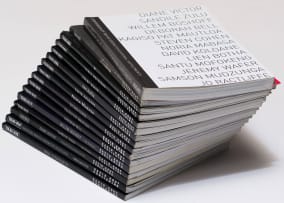 Various Authors; David Krut Taxi Book Series