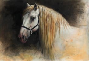 Jaco van Schalkwyk; Horse