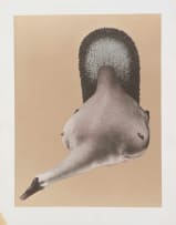 Jules van de Vijver; Composite Form (Nude and Bird)