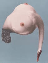 Jules van de Vijver; Composite Form with Breasts and Swan's Head