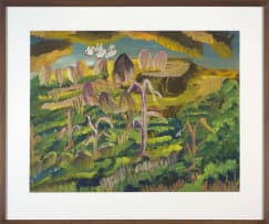 Gladys Mgudlandlu; Spring in Peddie Forests, Viewed from Peak