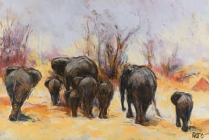 Daryl Nero; Herd of Elephants