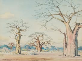Erich Mayer; Landscape with Baobabs