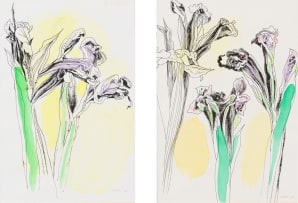 Andrew Verster; Irises, two