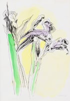 Andrew Verster; Irises, two
