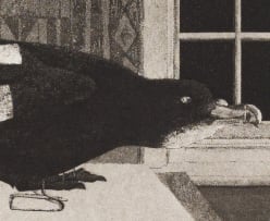 Pippa Skotnes; Crow