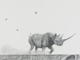 Bowen Boshier; Black Rhino