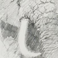 David Shepherd; Elephant Bull