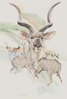 Derric van Rensburg; Kudu