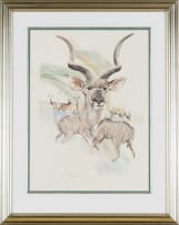 Derric van Rensburg; Kudu