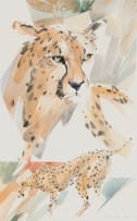 Derric van Rensburg; Cheetah