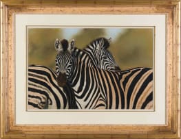 Graham Kearney; Two Zebra, Satara, Kruger Park