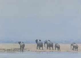 Kim Donaldson; Elephants Leaving the Waterhole