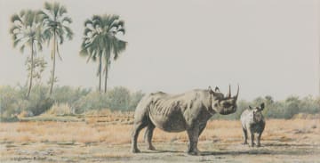 Lindsay Scott; Black Rhinoceros and Calf