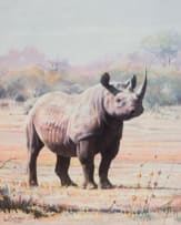 Paul Bosman; Rhino