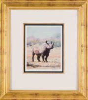 Paul Bosman; Rhino