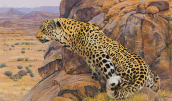 Paul Bosman; Seated Leopard