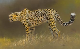 Paul Bosman; Standing Cheetah