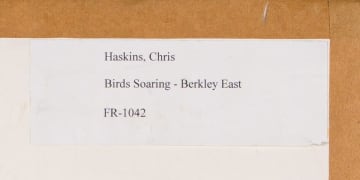 Christopher Haskins; White-Backed Vulture