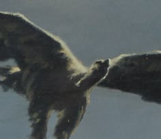 Christopher Haskins; White-Backed Vulture