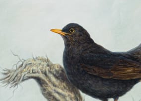 Guy Troughton; Blackbird