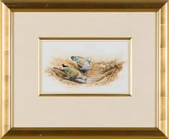 Johan Hoekstra; Emerald-Spotted Wood Doves