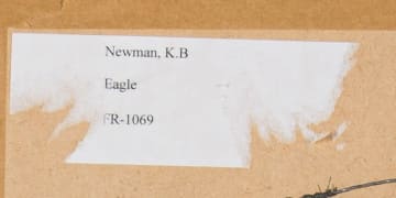 Kenneth Newman; Bateleurs (First year Immature and Adult Male)
