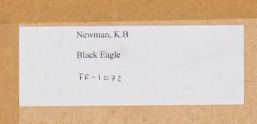 Kenneth Newman; Verreaux's Eagle