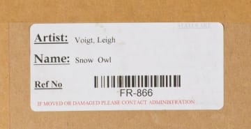Leigh Voigt; Snowy Owl