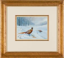 Peter R Fogarty; Pheasants in the Snow