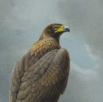 Peter R Fogarty; Golden Eagle by a Loch