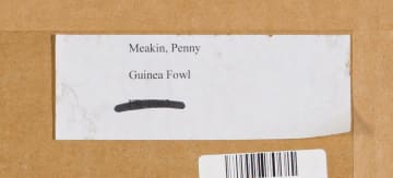 Penny Meakin; Helmeted Guinea-Fowl