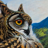 Phillip Alexander Clancey; Cape Eagle-Owl