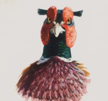 Rodger McPhail; Pheasant Study