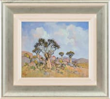 Conrad Theys; Quiver Trees and Summer Clouds, Namaqualand