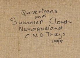 Conrad Theys; Quiver Trees and Summer Clouds, Namaqualand