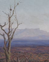 Willem Hermanus Coetzer; Roadway in a Mountainous Landscape