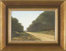 Daan Vermeulen; Pine Road 419