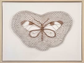 Walter Oltmann; Copper Moth