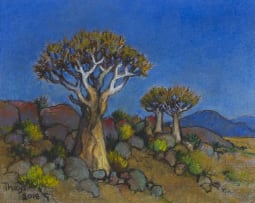 Conrad Theys; Two Quiver Trees, Namaqualand