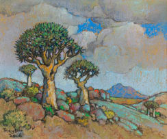 Conrad Theys; Quiver Trees – After the Rain, Namaqualand
