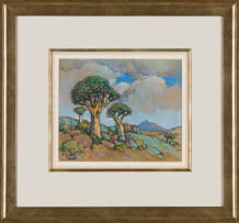 Conrad Theys; Quiver Trees – After the Rain, Namaqualand