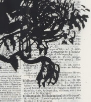 William Kentridge; Black Monkey Thorn