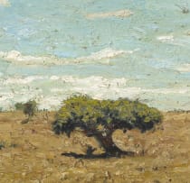 Walter Meyer; Landscape with Thorn Trees