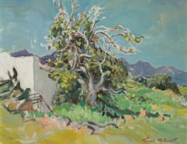 Terence McCaw; Fig Tree at McGregor
