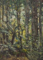 Hugo Naudé; Knysna Forest