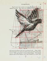 William Kentridge; From the Cyclopedia of Drawing, 2004, William Kentridge, Annandale Galleries, Sydney, September 2004, Exhibition Poster